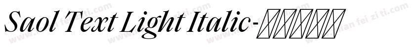 Saol Text Light Italic字体转换